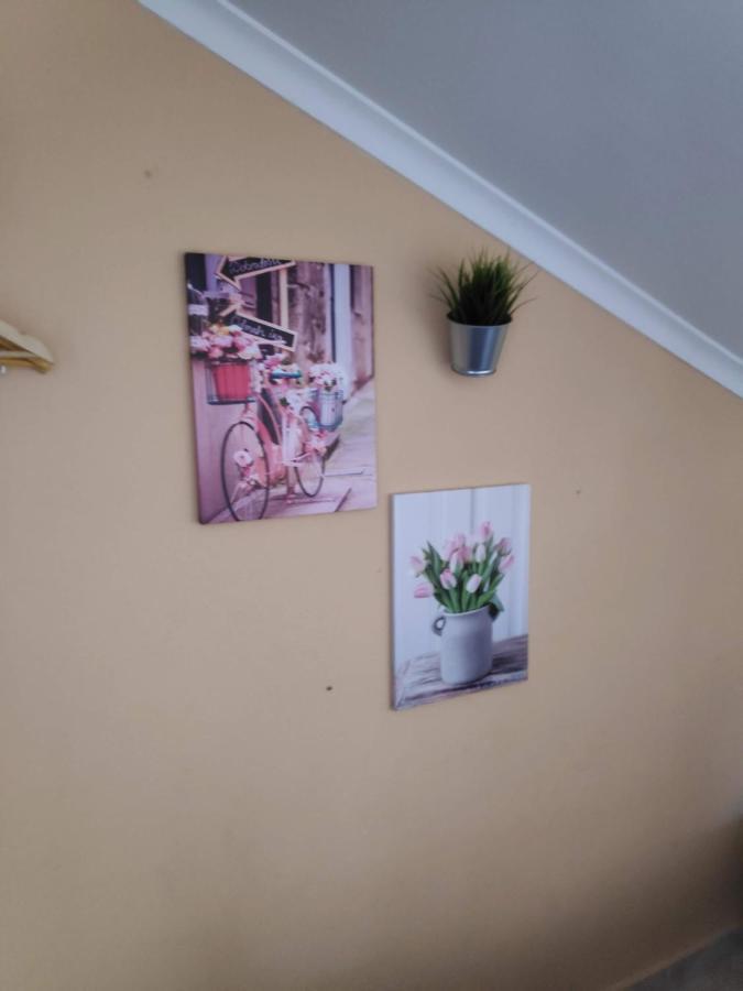 Casa De Vasco Homestay *